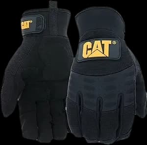 Cat 012211