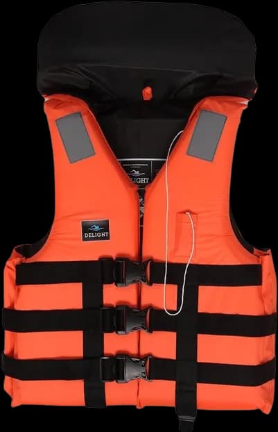 Life Jacket Normal
