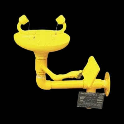 VAULTEX Floor Mounted Eyewash 4810GI